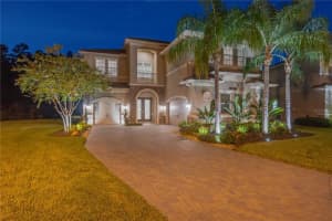 30828 Spruceberry Ct, WESLEY CHAPEL