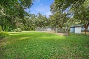 3790 KEYSTONE ROAD, TARPON SPRINGS, FL 34688 - MLS#MFRTB8419744