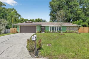 3133 Reseda Ct, TAMPA