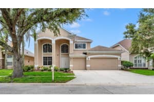 17835 Arbor Creek Dr, TAMPA