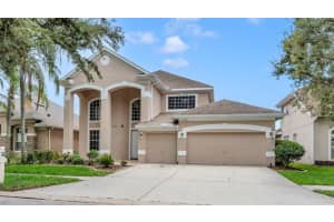 17835 ARBOR CREEK DRIVE, TAMPA, FL 33647 - MLS#MFRTB8419789