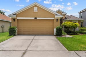 11129 ANCIENT FUTURES DRIVE, TAMPA, FL 33647 - MLS#MFRTB8419794