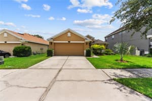 11129 ANCIENT FUTURES DRIVE, TAMPA, FL 33647 - MLS#MFRTB8419794