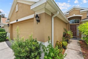 11129 ANCIENT FUTURES DRIVE, TAMPA, FL 33647 - MLS#MFRTB8419794