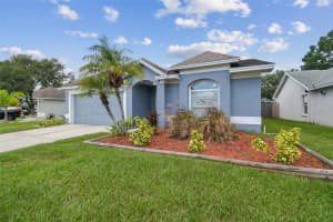 11124 BRAMBLEBRUSH STREET, TAMPA, FL 33624 - MLS#MFRTB8419797