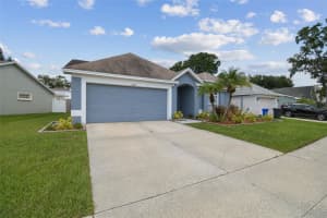 11124 BRAMBLEBRUSH STREET, TAMPA, FL 33624 - MLS#MFRTB8419797