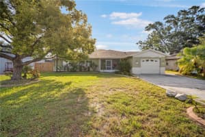 6217 FLAMINGO DRIVE, APOLLO BEACH, FL 33572 - MLS#MFRTB8419824