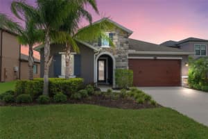 28736 Revaro Ln, WESLEY CHAPEL