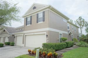 11154 Windsor Place Cir, TAMPA