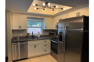 3074 BROOKVIEW AVENUE, LARGO, FL 33771 - MLS#MFRTB8419839