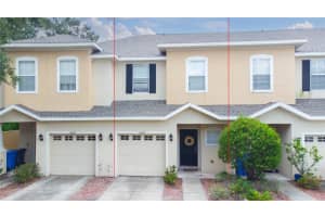 10007 Messina Pointe Way, TAMPA