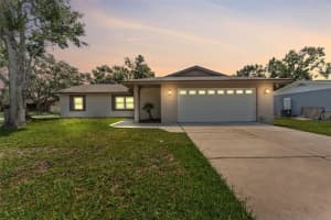 10721 Tabor Dr, TAMPA
