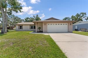 10721 TABOR DRIVE, TAMPA, FL 33625 Sold 10/07/25