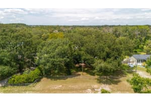 12103 DAGWOOD WAY, RIVERVIEW, FL 33579 - MLS#MFRTB8419849