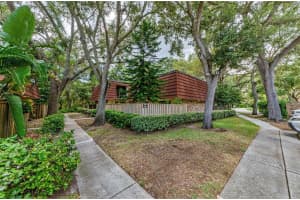 702 1ST COURT, PALM HARBOR, FL 34684 - MLS#MFRTB8419851