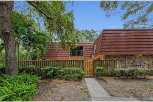 702 1ST COURT, PALM HARBOR, FL 34684 - MLS#MFRTB8419851