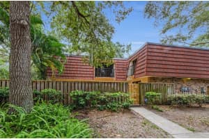 702 1ST COURT, PALM HARBOR, FL 34684 - MLS#MFRTB8419851
