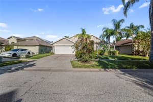10028 Oasis Palm Dr, TAMPA