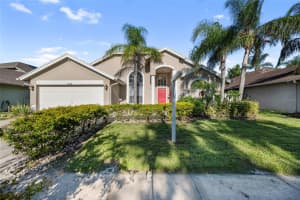10028 OASIS PALM DR, TAMPA, FL 33615 - MLS#MFRTB8419865