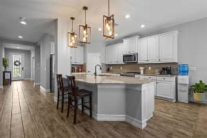 33246 AZALEA RIDGE DRIVE, WESLEY CHAPEL, FL 33545 - MLS#MFRTB8419868