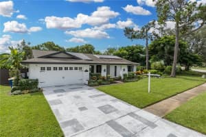 3139 HYDE PARK DRIVE, CLEARWATER, FL 33761 - MLS#MFRTB8419869