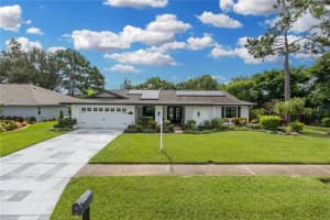 3139 HYDE PARK DRIVE, CLEARWATER, FL 33761 - MLS#MFRTB8419869