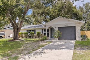 1600 AMBERLEA DRIVE, DUNEDIN, FL 34698 - MLS#MFRTB8419897