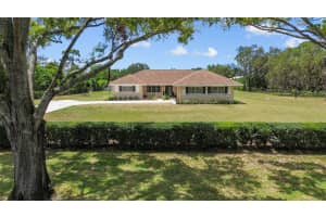 13198 98TH AVENUE, SEMINOLE, FL 33776 - MLS#MFRTB8419922