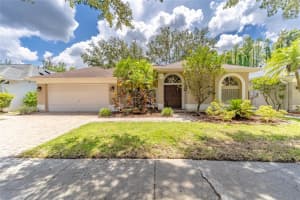 3722 Cypress Meadows Rd, TAMPA
