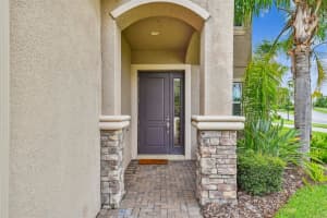 30415 PALMER OAK DRIVE, WESLEY CHAPEL, FL 33543 - MLS#MFRTB8419952