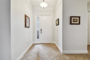 30415 PALMER OAK DRIVE, WESLEY CHAPEL, FL 33543 - MLS#MFRTB8419952