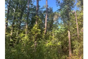 TBD 137 CT COURT, FORT MC COY, FL 32134 - MLS#MFRTB8419954