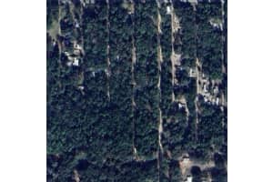 TBD 137 CT COURT, FORT MC COY, FL 32134 - MLS#MFRTB8419954