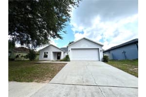 4113 COPPER CANYON BOULEVARD, VALRICO, FL 33594 - MLS#MFRTB8419963