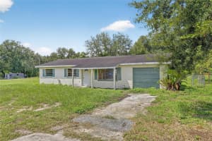 33099 MULBERRY ROAD, DADE CITY, FL 33523 - MLS#MFRTB8419996