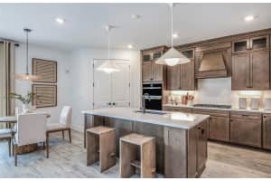 1599 VALIER POINT, ZEPHYRHILLS, FL 33541 - MLS#MFRTB8420014