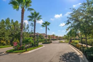8735 TERRACINA LAKE DRIVE, TAMPA, FL 33625 - MLS#MFRTB8420023