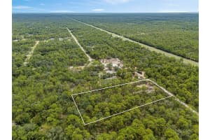 16440 GRANNES AVENUE, BROOKSVILLE, FL 34614 - MLS#MFRTB8420027
