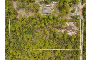 16440 GRANNES AVENUE, BROOKSVILLE, FL 34614 - MLS#MFRTB8420027