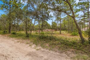 16440 GRANNES AVENUE, BROOKSVILLE, FL 34614 - MLS#MFRTB8420027