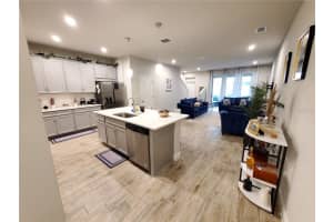 6019 GRAND SONATA AVENUE, LUTZ, FL 33558 - MLS#MFRTB8420035