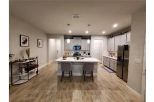 6019 GRAND SONATA AVENUE, LUTZ, FL 33558 - MLS#MFRTB8420035