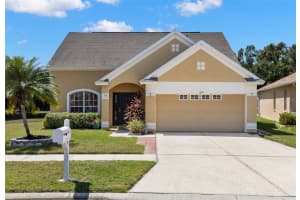 6619 SUMMER COVE DRIVE, RIVERVIEW, FL 33578 - MLS#MFRTB8420037