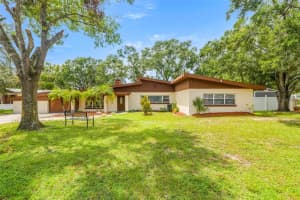 11608 N Boulevard, TAMPA