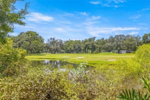 11608 N BOULEVARD, TAMPA, FL 33612 - MLS#MFRTB8420051