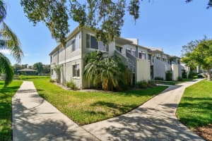 4125 DOLPHIN DRIVE, TAMPA, FL 33617 - MLS#MFRTB8420076