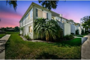 4125 DOLPHIN DRIVE, TAMPA, FL 33617 - MLS#MFRTB8420076