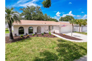 603 Ivey Ln, TARPON SPRINGS