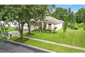 4416 GENTRICE DRIVE, VALRICO, FL 33596 - MLS#MFRTB8420098