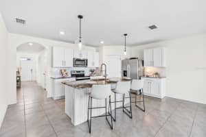 33471 HAMILTON HILL LN, WESLEY CHAPEL, FL 33545 - MLS#MFRTB8420108
